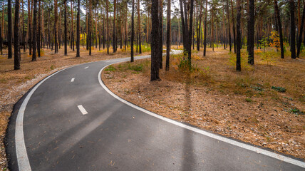 Fototapeta premium A winding Bicycle and running paved path in the autumn forest