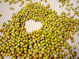 mung beans background