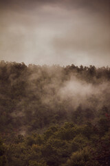 Abend Nebel über Landschaft mit bewaldetem Tal
