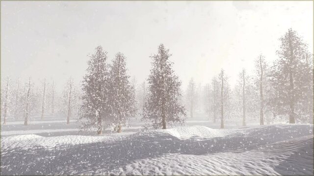 Nature winter scenery snow tree landscape 4k