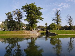 Trees are reflected in the surface of the lake