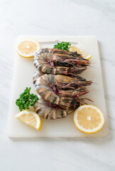 fresh tiger prawn or shrimp
