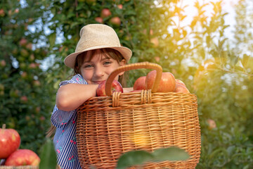 Smiling Little Girl in a Straw Hat With A Basket of Red Apples in Sunny Orchard