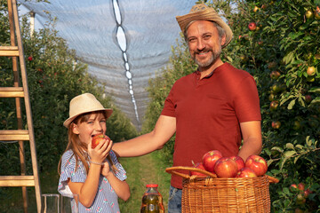 Farmer and His Little Daughter With A Basket of Red Apples and Apple Juice on Table in Sunny Orchrad