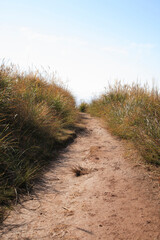 山道