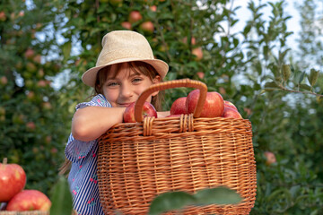 Portrait of a Smiling Little Girl in a Straw Hat With A Basket of Red Apples
