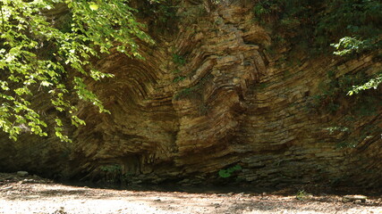 rock layers of the mountain range in the structure of a sheer cliff near the channel of a small river visible through the light green foliage of the tree