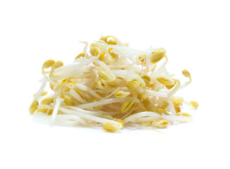 Bean Sprouts  isolated on White Background