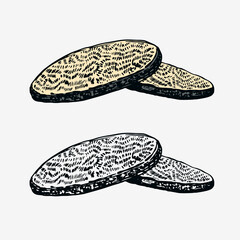 Truffles mushrooms. Engraved hand drawn vintage sketch. Ingredients for cooking food. Woodcut style. Vector illustration.