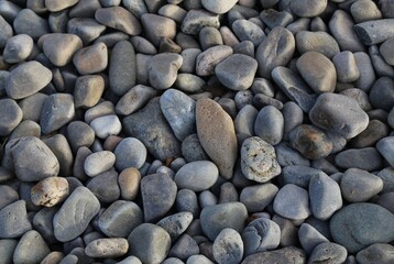 A closeup picture of some smooth beach pebbles.
