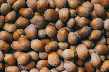Pile of nuts.Hazelnuts. Corylus avellana. Macro photo, close up, top view.