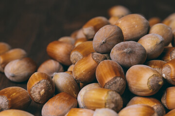 Pile of nuts. Hazelnuts. Whole nuts. Macro photo.