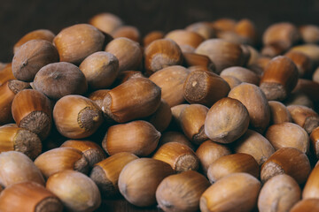 Pile of nuts. Hazelnuts. Whole nuts. Macro photo.