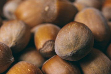 Pile of nuts. Hazelnuts. Whole nuts. Macro photo.