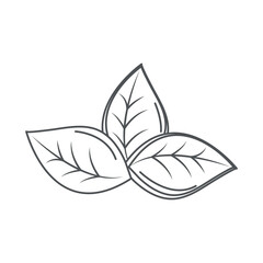 ecology leaves nature environment line icon style