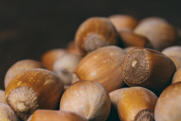Pile of nuts. Hazelnuts. Whole nuts. Macro photo.