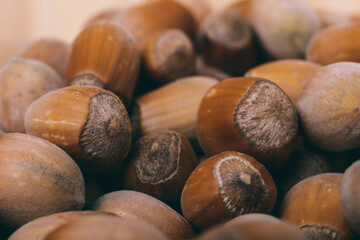 Pile of nuts.Hazelnuts. Whole nuts. Corylus avellana. Macro photo, close up.
