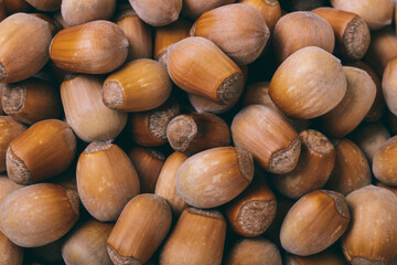 Pile of nuts.Hazelnuts. Corylus avellana. Macro photo, close up, top view.