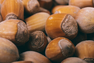 Pile of nuts.Hazelnuts. Whole nuts. Corylus avellana. Macro photo, close up.