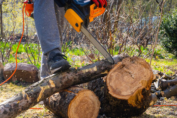 Men sawing apple tree with a chainsaw in his backyard. Worker pruning tree trunk in the garden