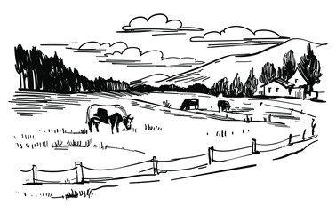 Countryside landscape, rural farm view with a cows on the meadow, country house, field and hills. Hand drawn black and white sketch, vintage sketch stock vector illustration.