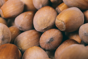Pile of nuts.Hazelnuts. Whole nuts. Corylus avellana. Macro photo, close up.