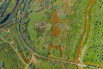 Aerial view on flood-meadow in Kartal Eco Park, Orlovka village, Reni raion, Odessa oblast,  Ukraine, Eastern Europe