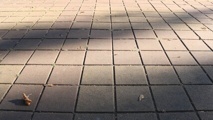 Fototapeta premium empty autumn paved square in a park or street covered with fallen dry leaves as a mood background of the seasons hay in the city space