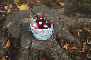 Cute little toys sit in a basket in the autumn garden. Childhood, baby, holiday, people, hobby, emotions concepts