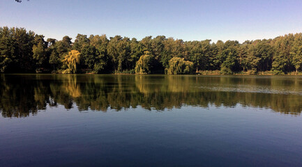 Fototapeta na wymiar Herbst am Bordenauer See 