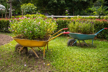Gardening tools and flowers on the trolley in the garden