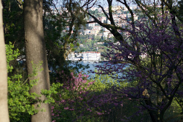 Bosphorus İstanbul