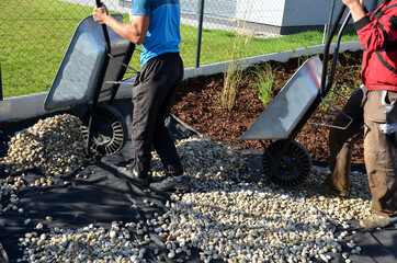 delivery of gray river pebbles like mulch to flower beds in the garden using a wheelbarow from the...