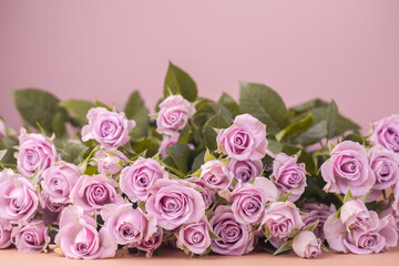 Pink roses on pink-purple and caramel background, copy space.