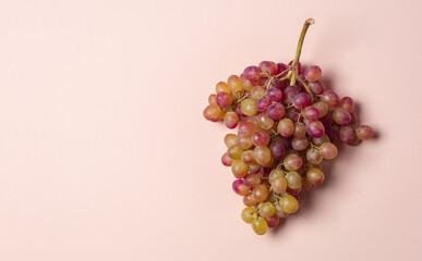 Rose grapes on peach color background. Copy space.