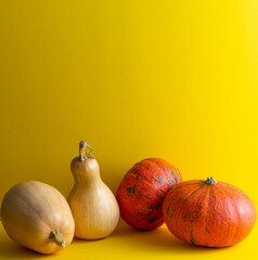 Three pumpkins on yellow background. Copy space. Template for your design, invitation, greeting card. Autumn composition.