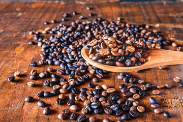 Roasted coffee beans on a wooden spoon