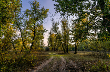 Obraz premium Sunny autumn evening over the hollow 