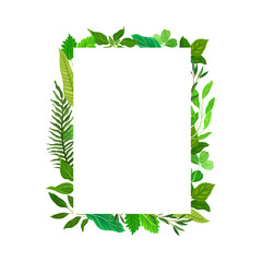 Rectangular Shaped Frame with Green Leaves or Foliage Vector Illustration