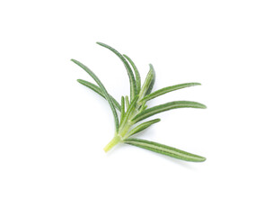 rosemary isolated on white background