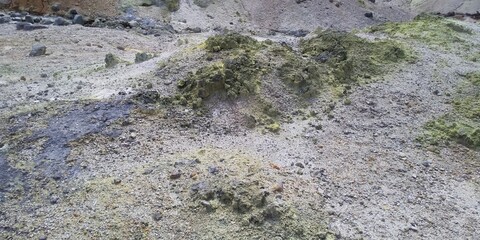 stone wall with moss