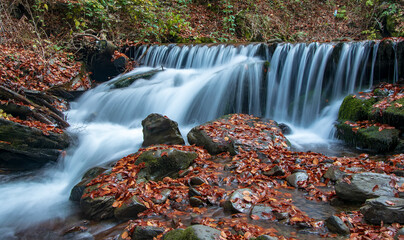 Fototapeta na wymiar Beautiful autumn waterfall. Carpathian mountains, Ukraine. Red beech leaves on stones.