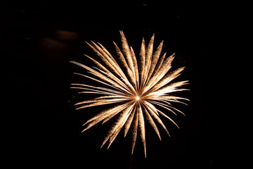 Fototapeta premium fireworks in the night sky