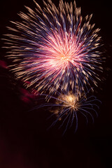 Fototapeta premium fireworks in the night sky