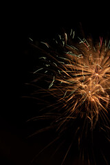 Obraz premium fireworks in the night sky