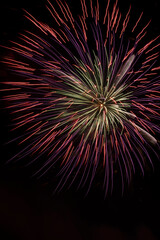 Obraz premium fireworks in the night sky