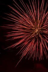 Obraz premium fireworks in the night sky