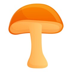 Autumn party fall mushroom icon. Cartoon of autumn party fall mushroom vector icon for web design isolated on white background