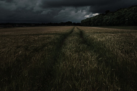 Gathering Storm, Tracks in The Field