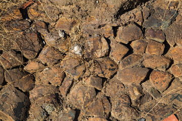 Textura de piedra basta con grandes grietas colores tierra